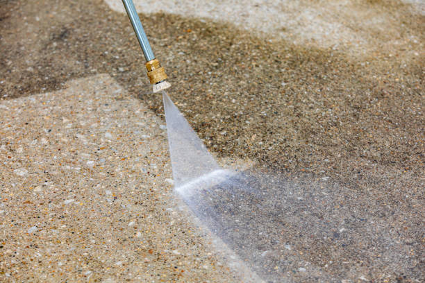 Animal Enclosure Cleaning in Lake Wales, FL